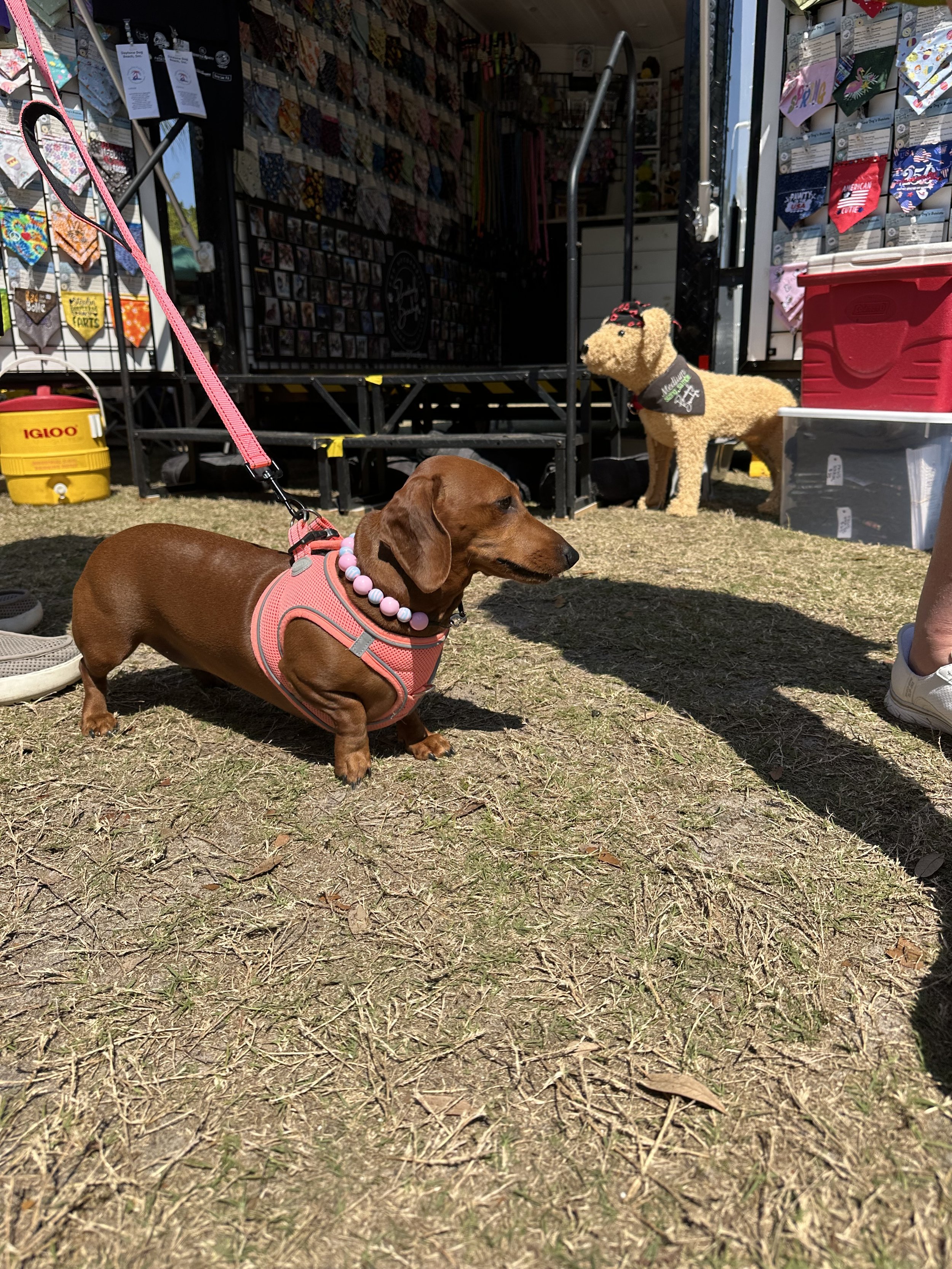 IMG_0683.jpeg