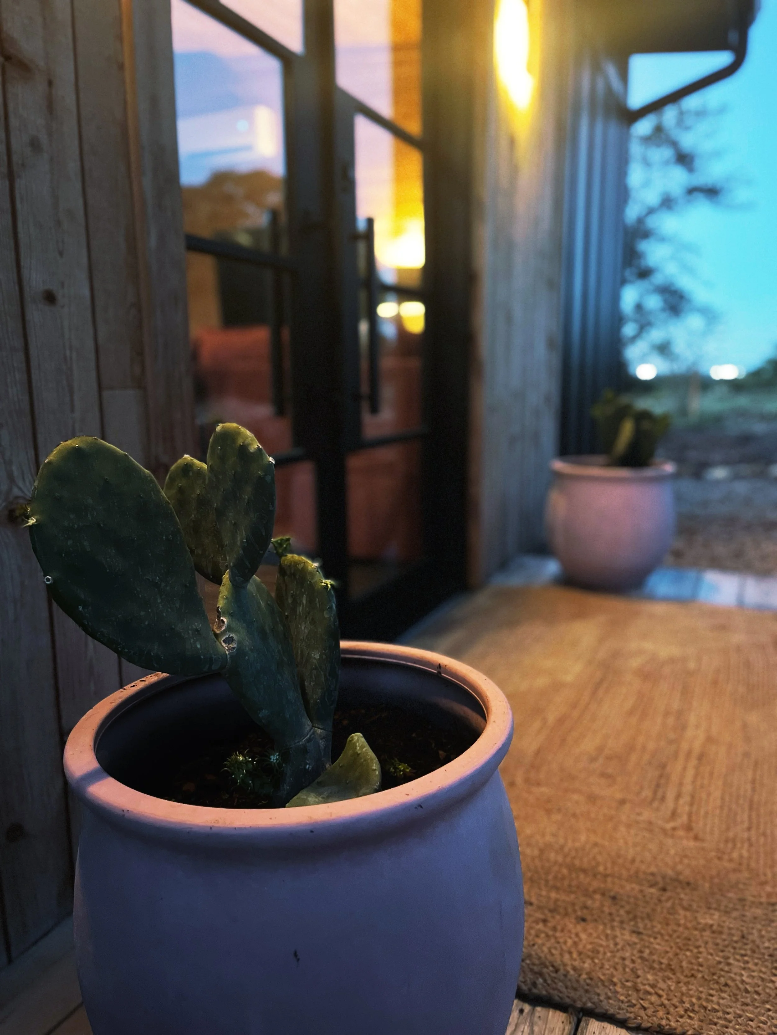 9B2389B1-701A-4C37-82E5-75FBCAAD7EED 2.JPG