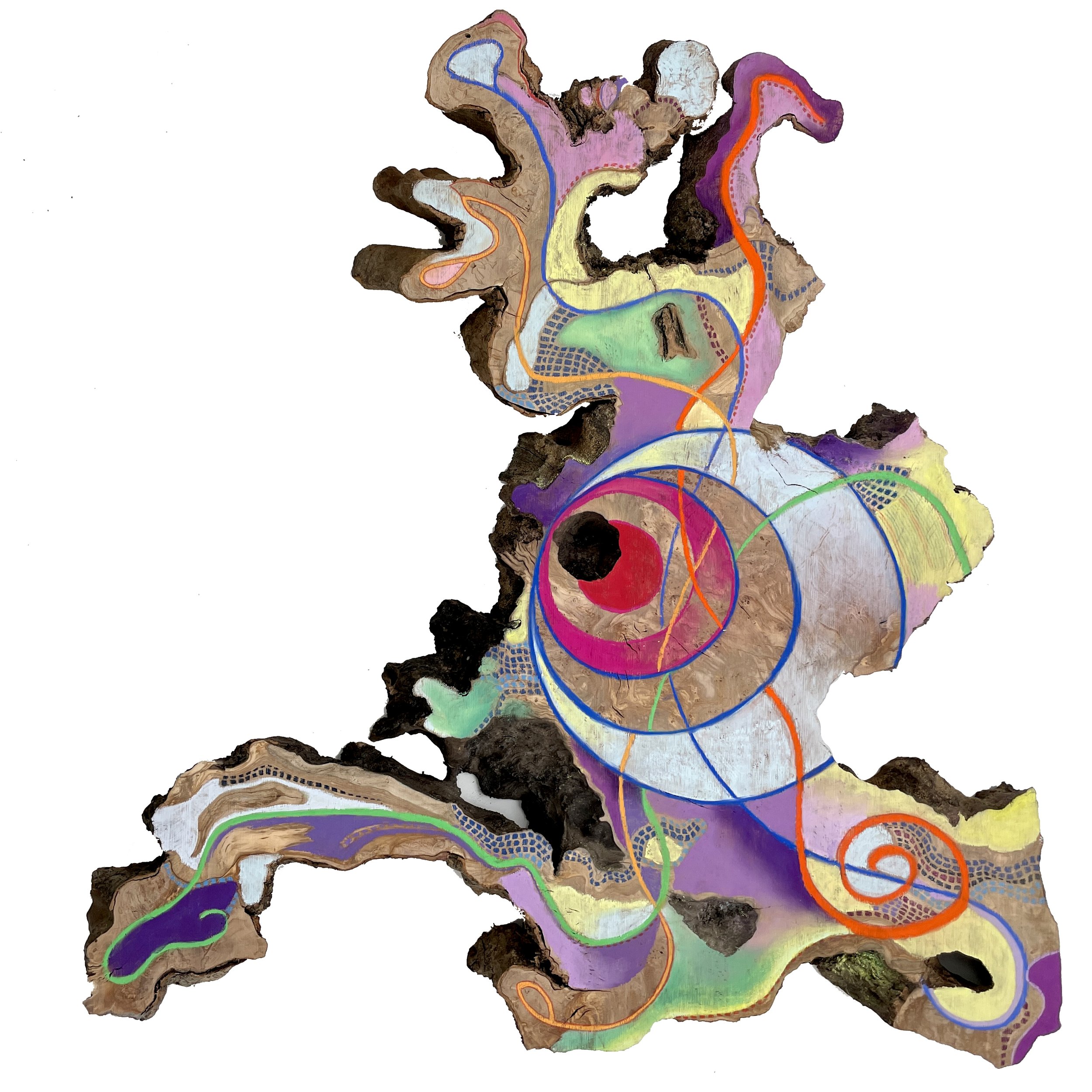1_VanWrightH_OctopusSecrets.jpg