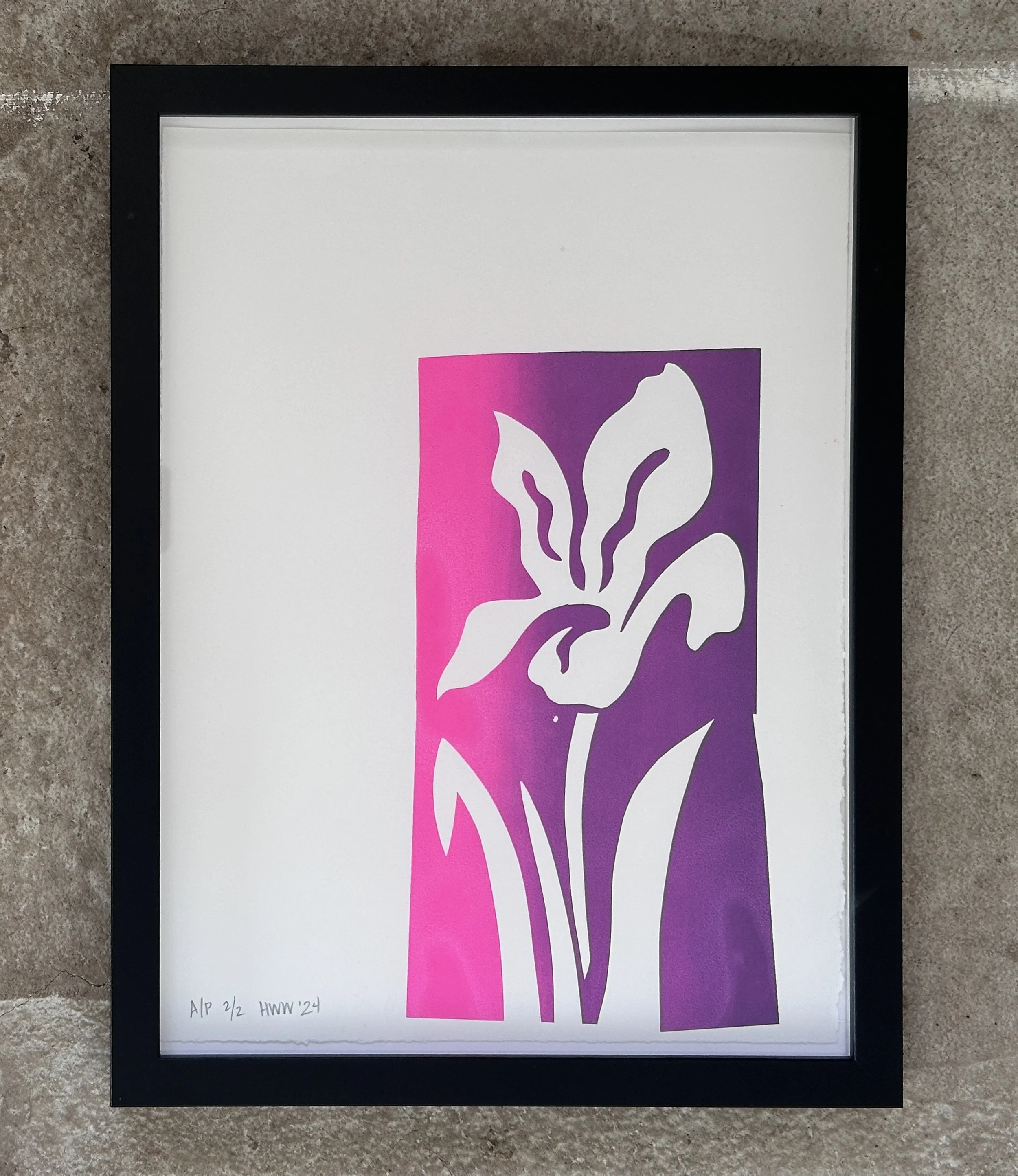 Iris Screen Print