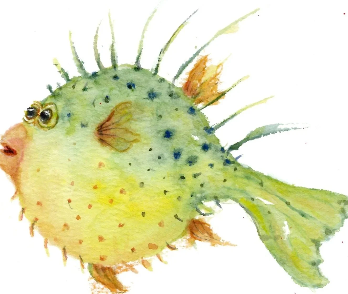 'Green gold Puffer'  Water color   5 x 7
Available