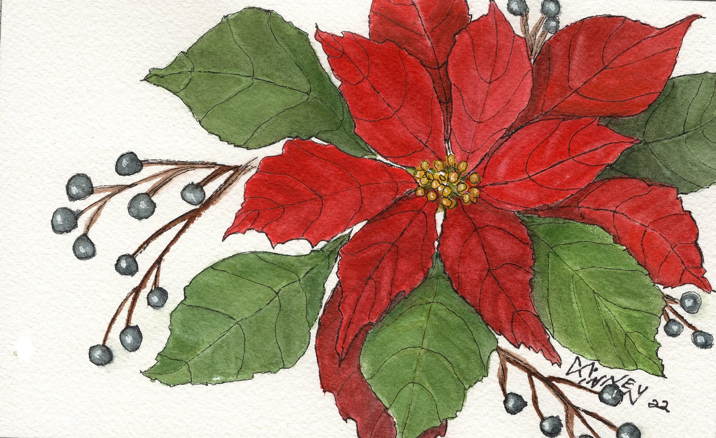 Christmas Card 2022
Poinsettia   Watercolor  7 x 5