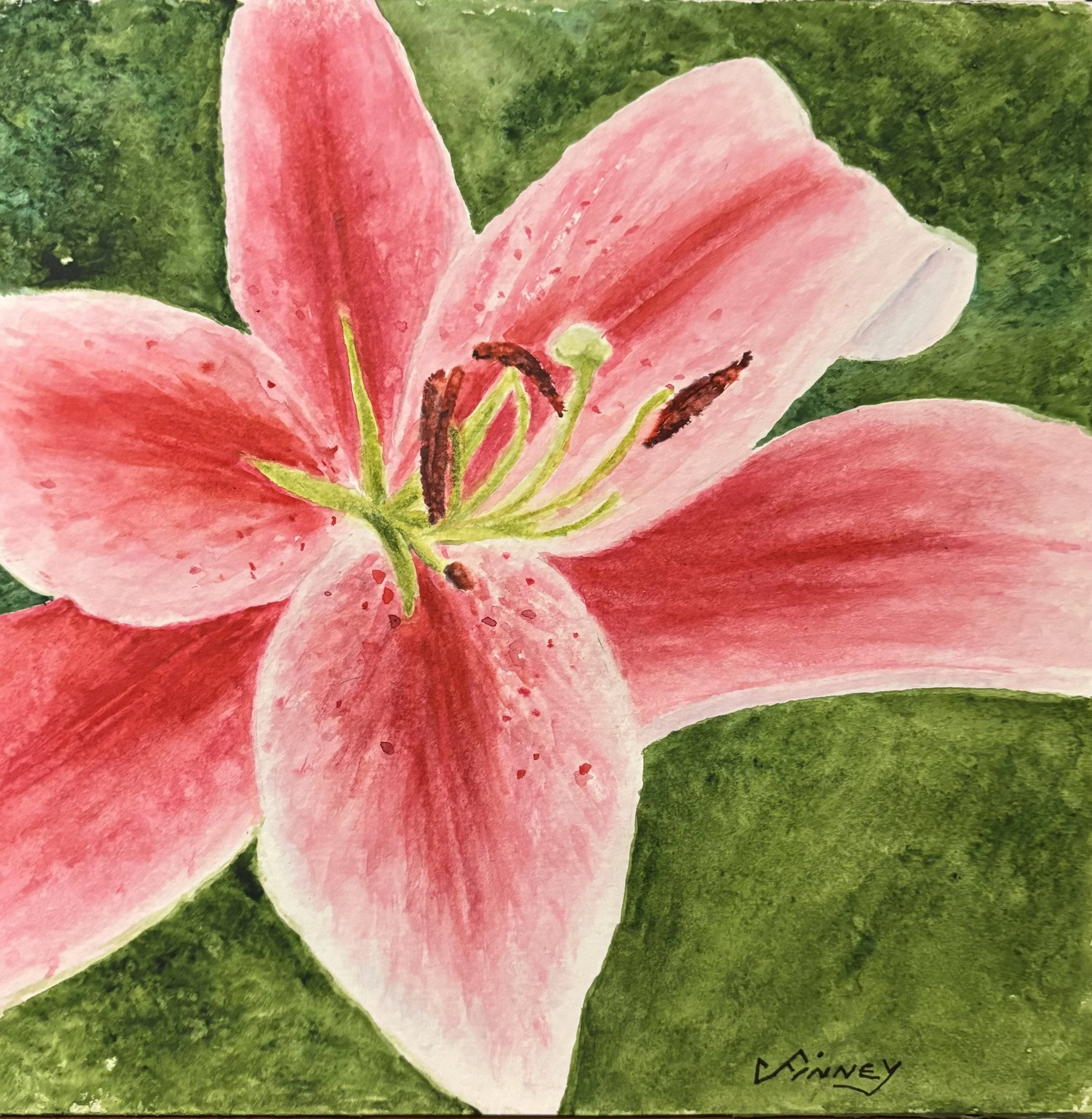 'Stargazer on Green'   Watercolor  8 x 8 
Available