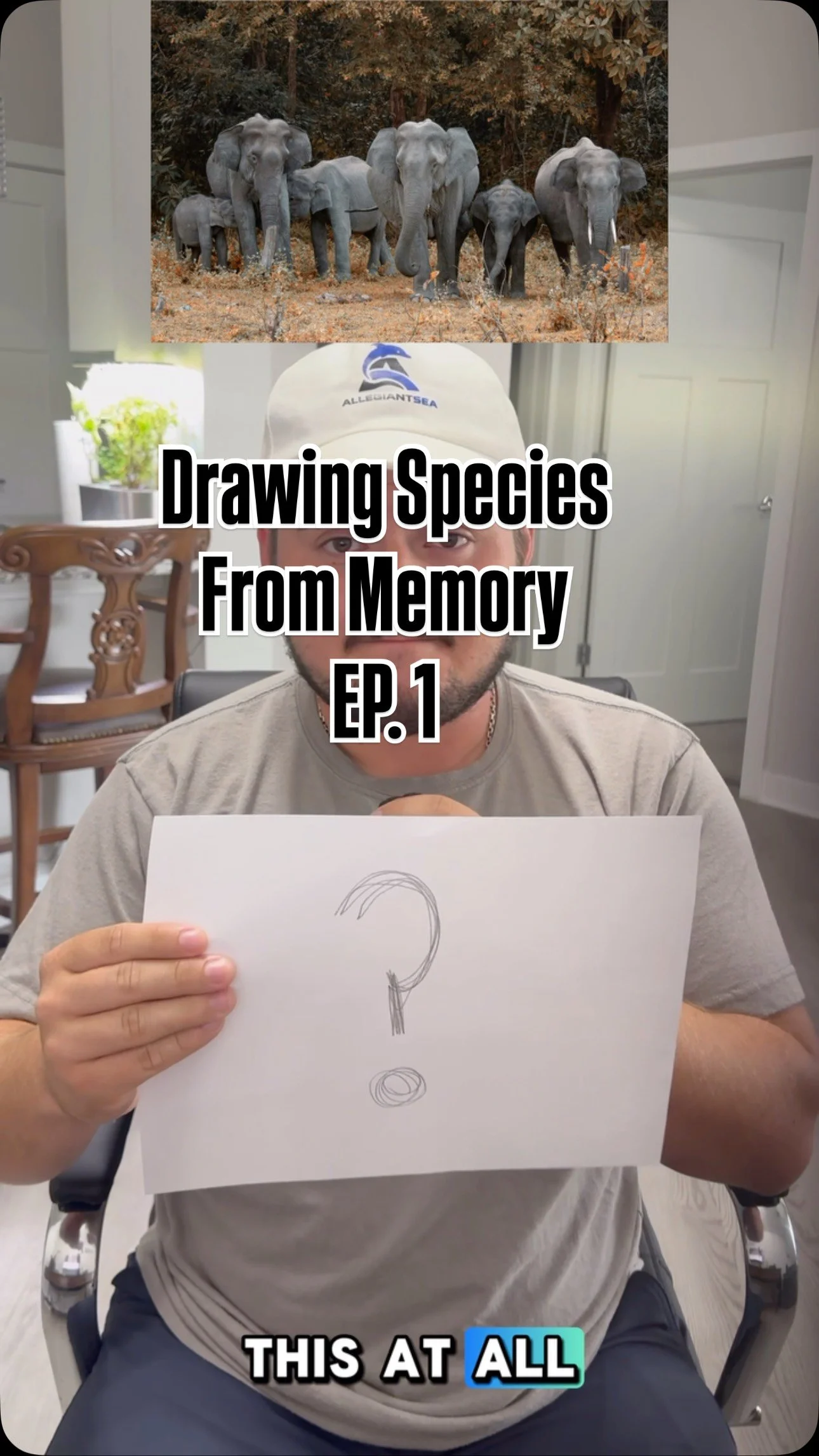 No references. No second chances. Just me vs. my memory.
#fyp #conservation #drawing #elephant #art