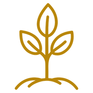 A simple, stylized gold outline of a small plant with three leaves on a curved line representing soil.