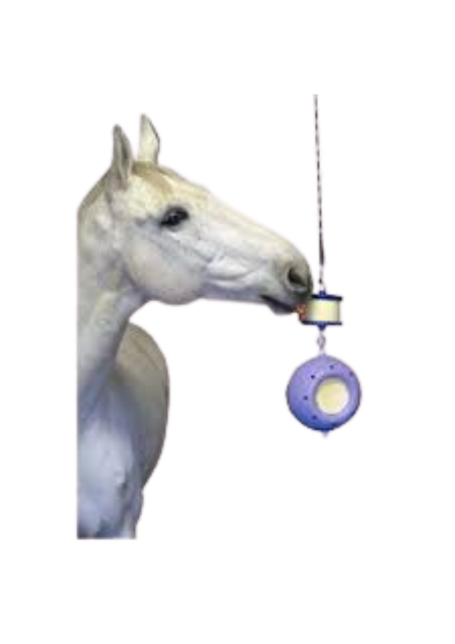 DO NOT FEED DRY (17).png