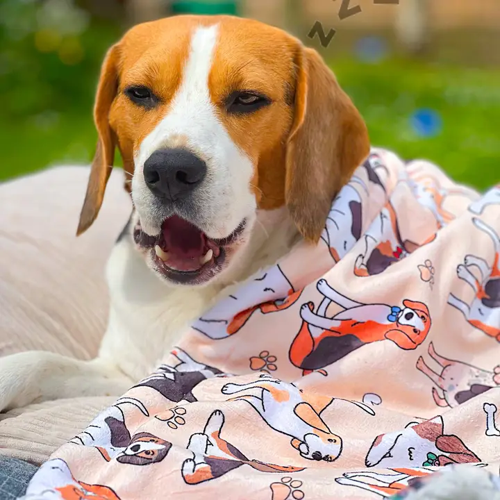beagle blanket 2.png