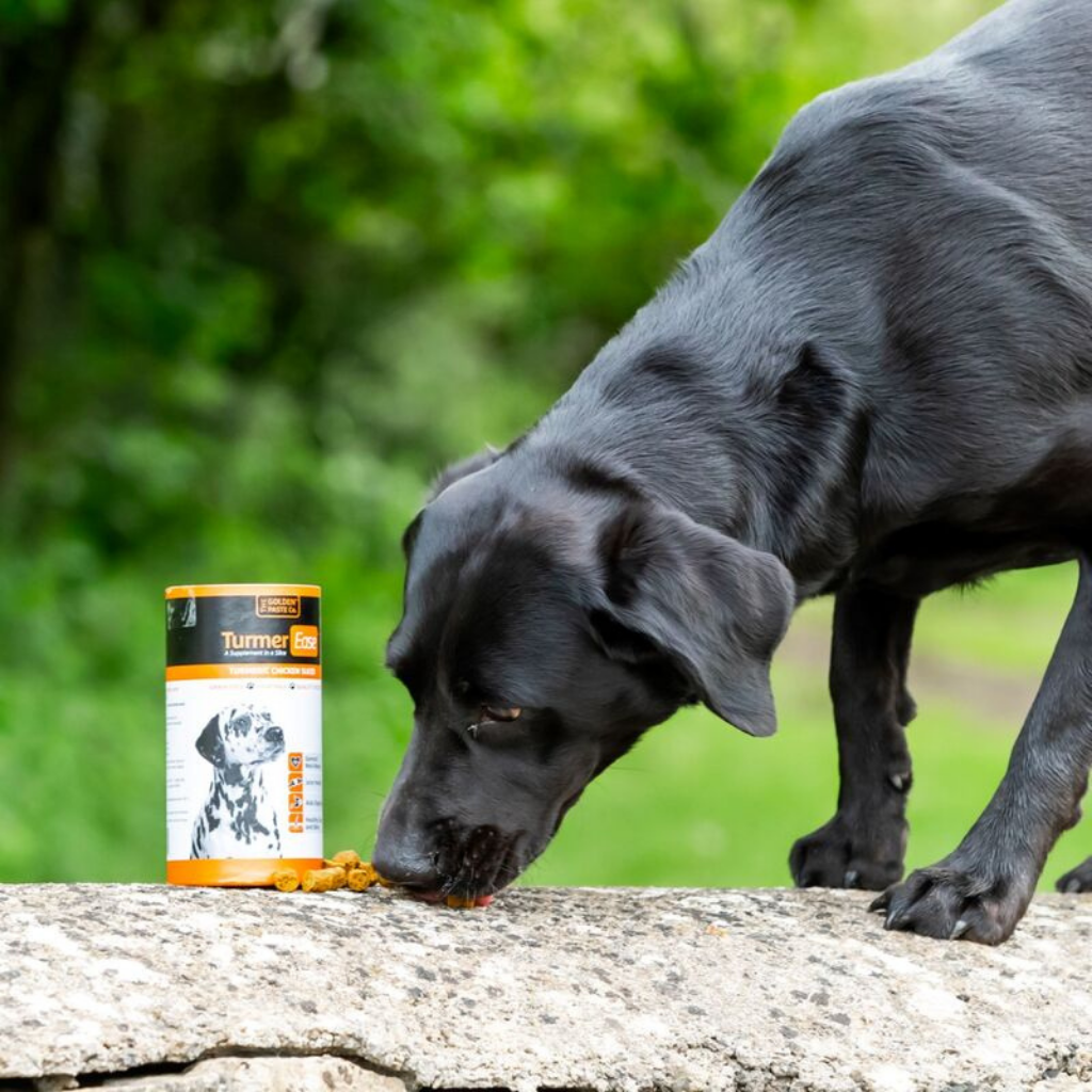 Golden Paste TurmerEase Turmeric Chicken Slices - 230 pieces - 300g