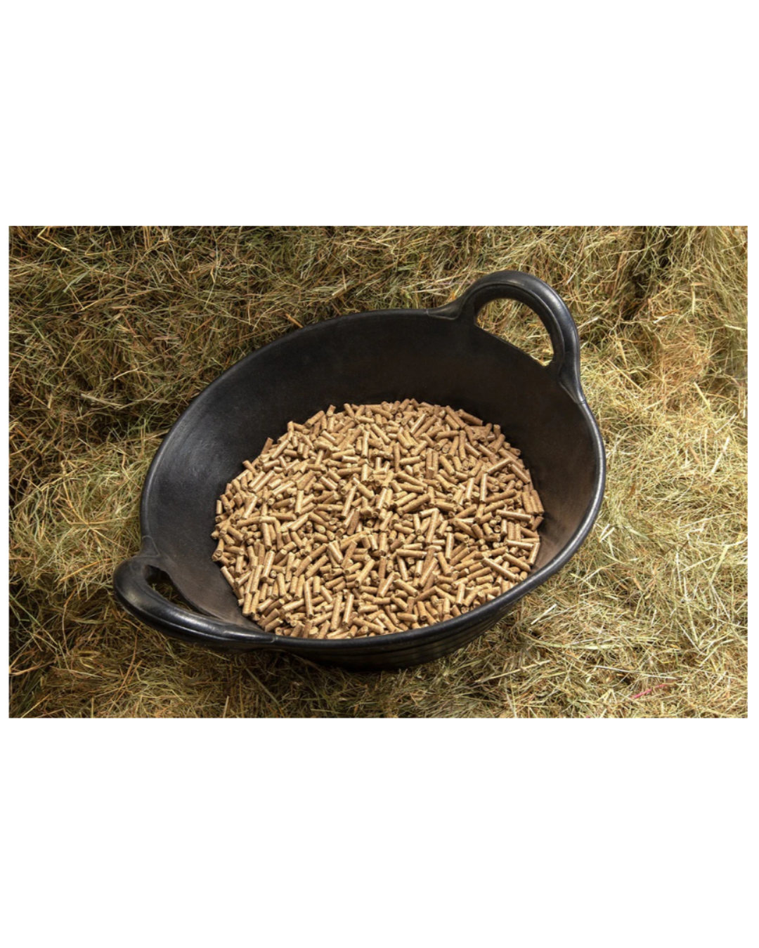 Untitled design - 2026-01-15T062509.484.png