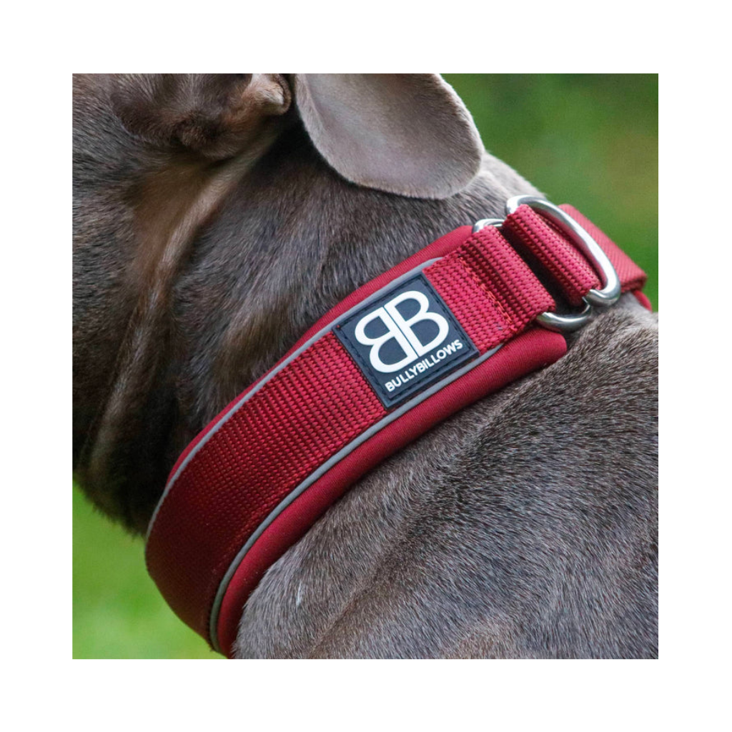 upload - 2026-04-06T084531.501.png