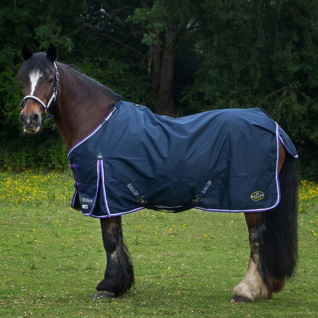 gallop 0g 3.jpg