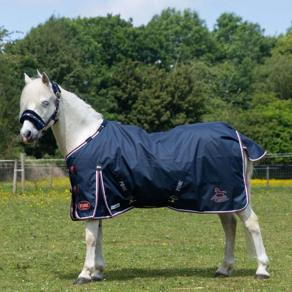 Gallop Ponie Duraproof 5-Point Standard Neck Turnout 50g Rug