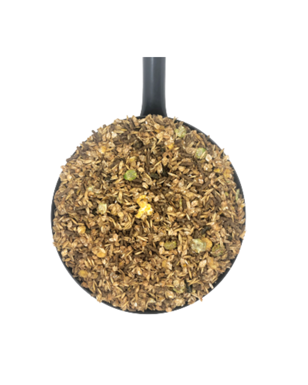 Untitled design - 2026-01-15T070322.914.png