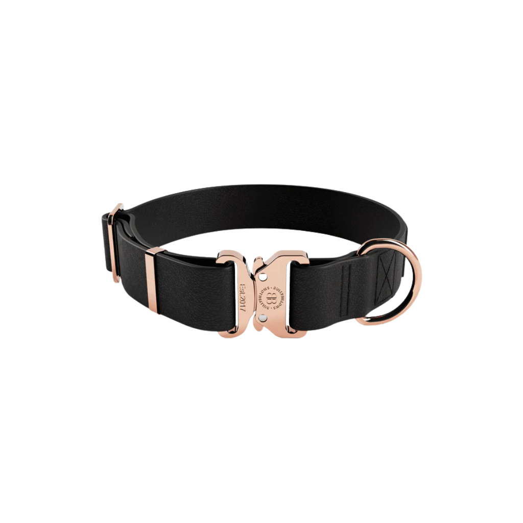 upload - 2026-04-04T160551.772.png