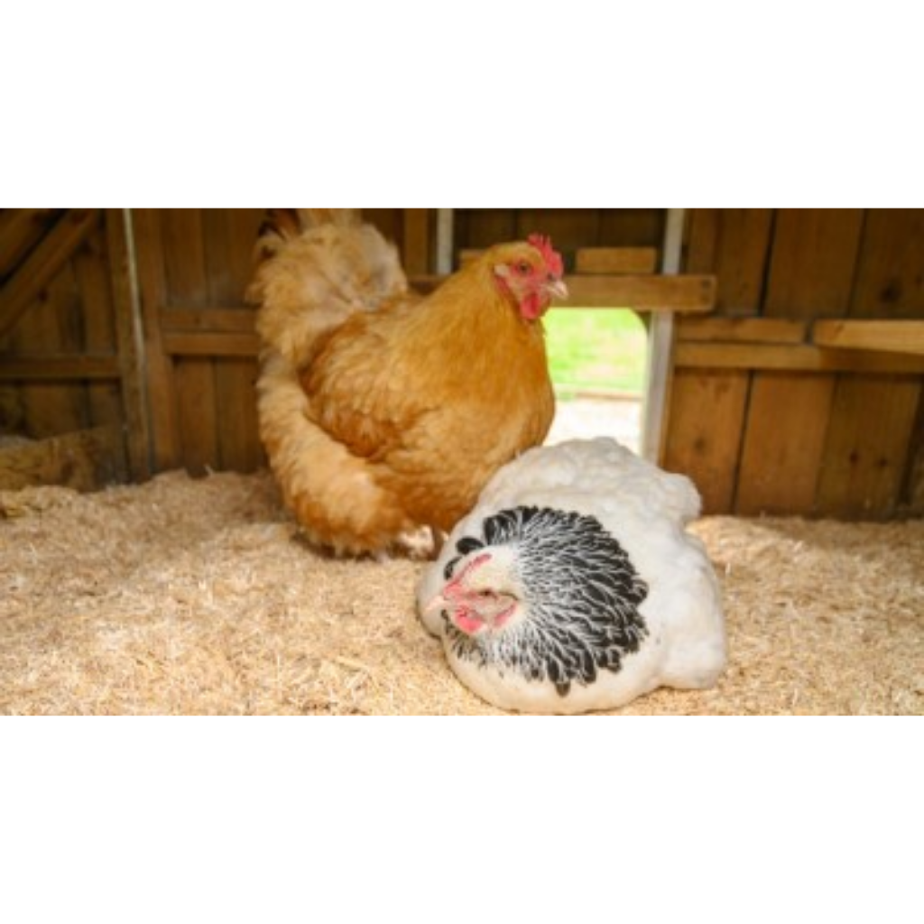 upload - 2026-04-08T215558.621.png