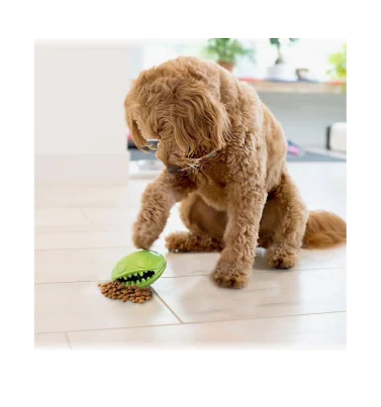 Jolly Pets Monster Mouth Dog Toy