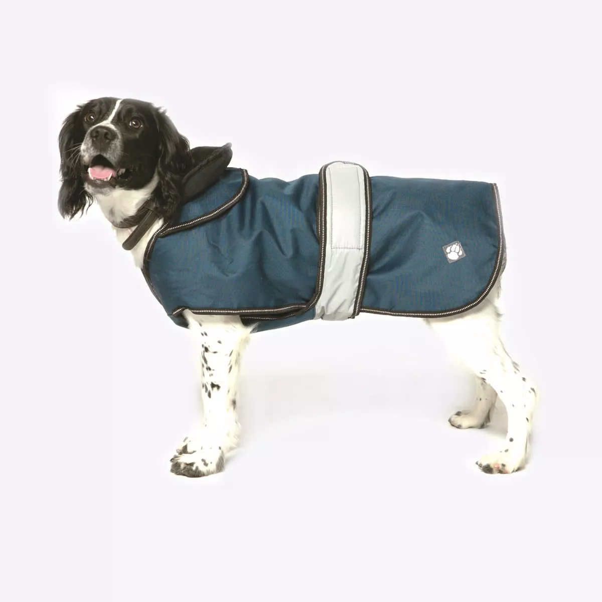 danish design dog coat 2.png