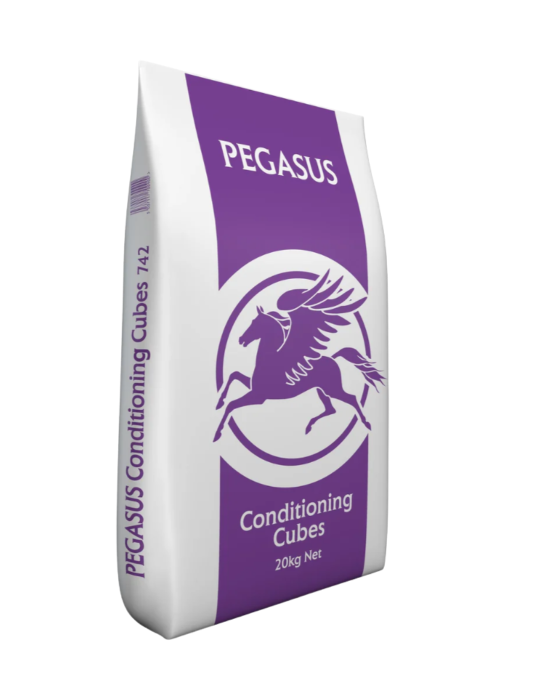 Untitled design - 2026-01-15T062413.053.png