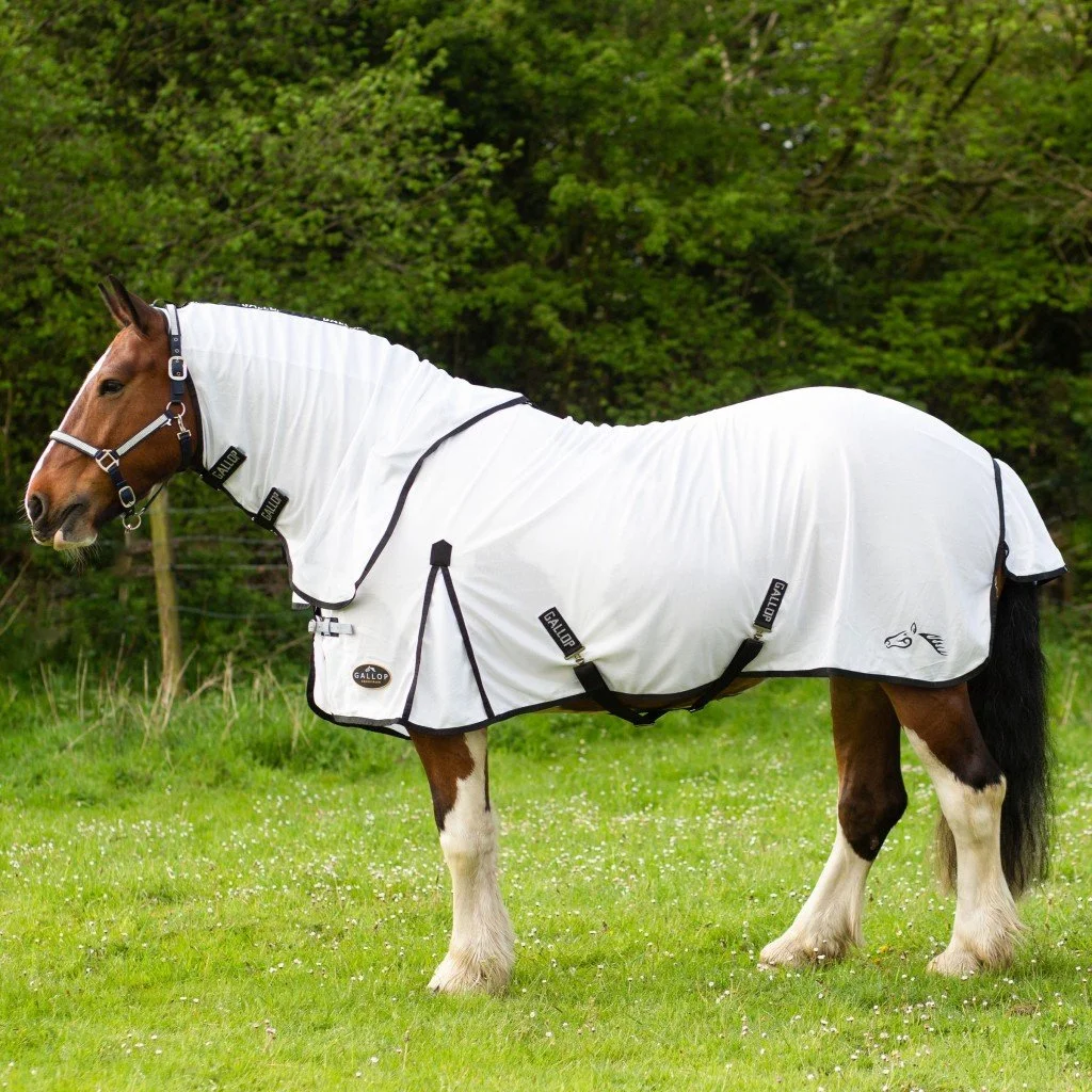 fly rug.jpg