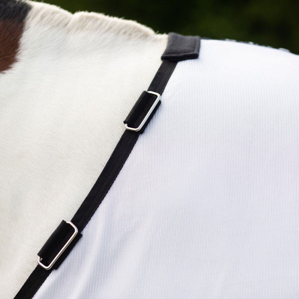 fly rug 6.jpg