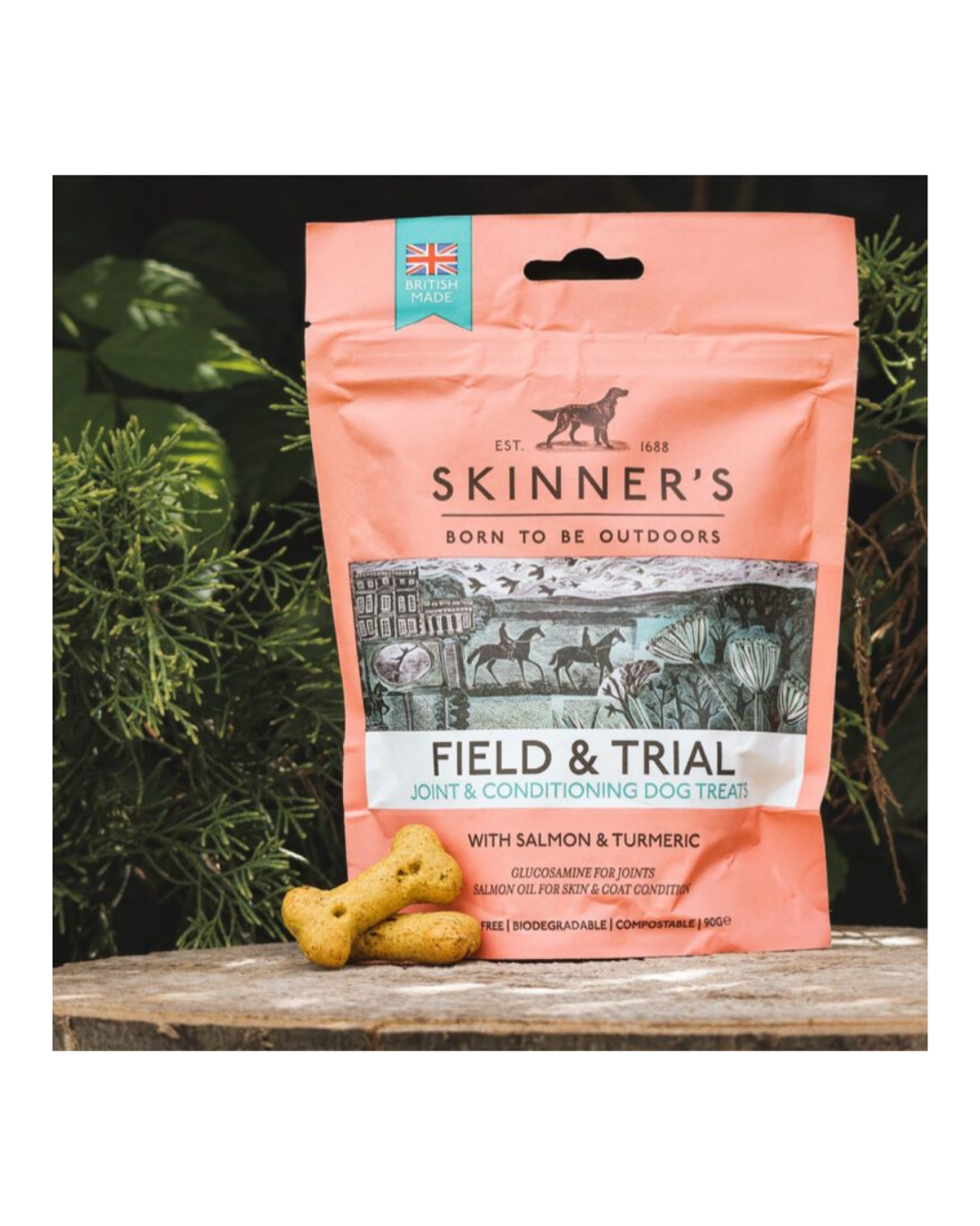 Skinners Field & Trial - Joint & Condition Dog Treats with Salmon & Turmeric 90g