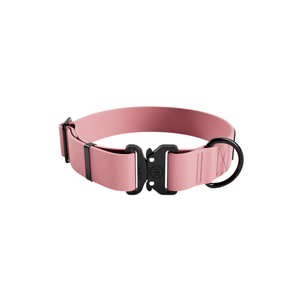 upload - 2026-04-04T160931.727.png