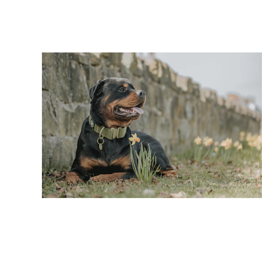 upload - 2026-04-04T161608.638.png