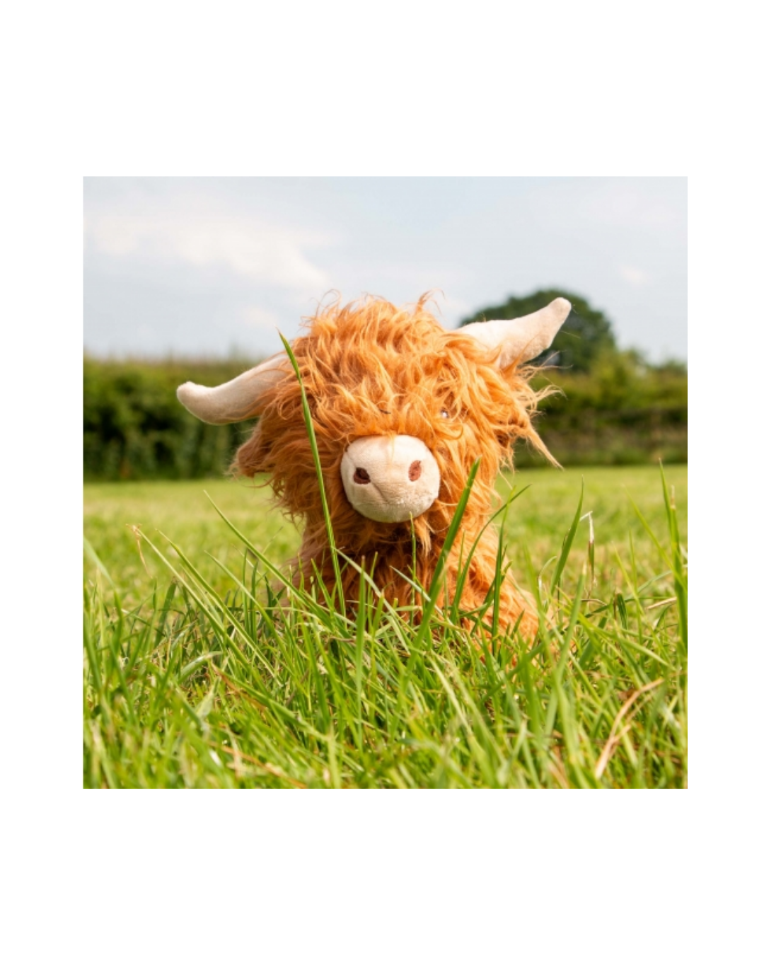 cow 4.png