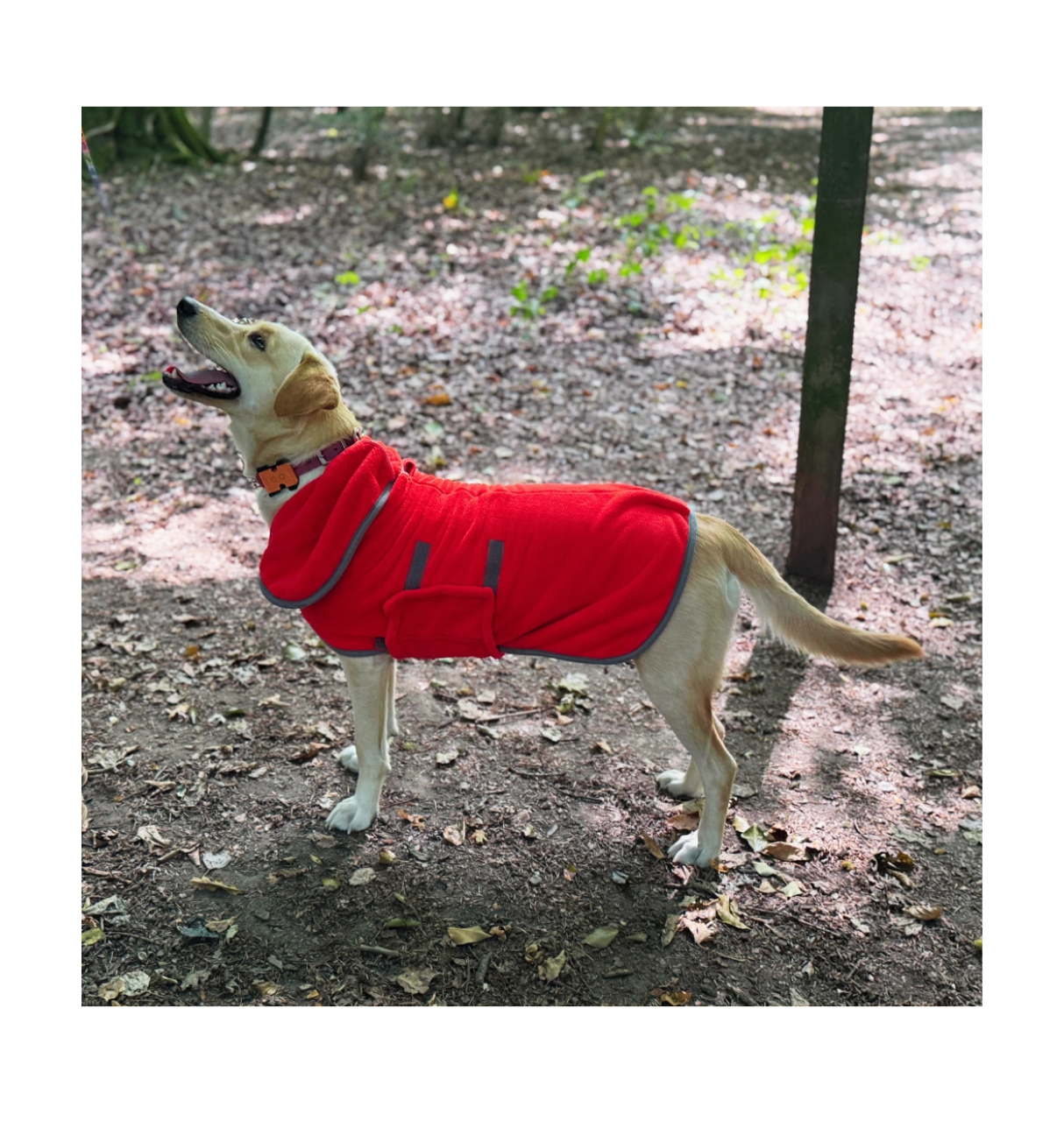 Untitled design (77).png