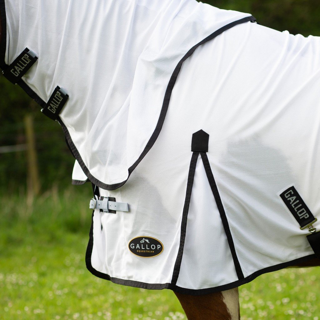 fly rug 3.jpg
