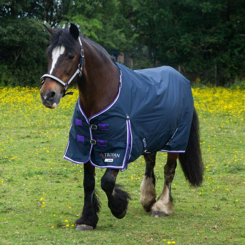 Gallop Trojan Duraproof 5-Point Standard Lightweight Turnout 0g Rug