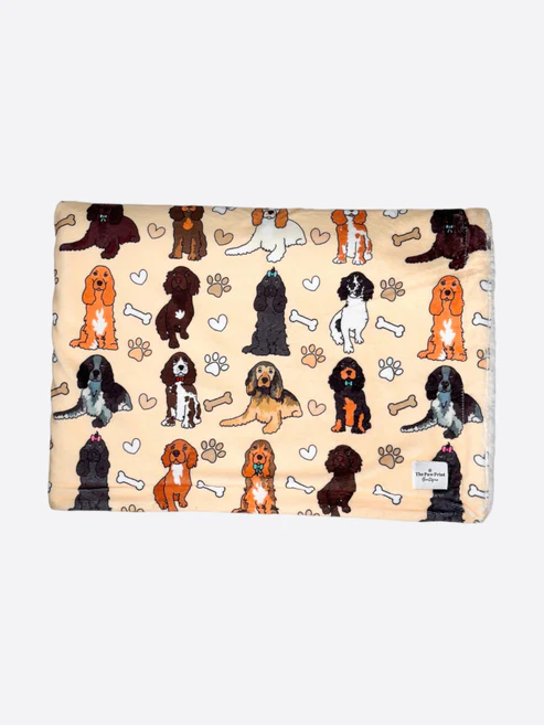 spaniel blanke.png