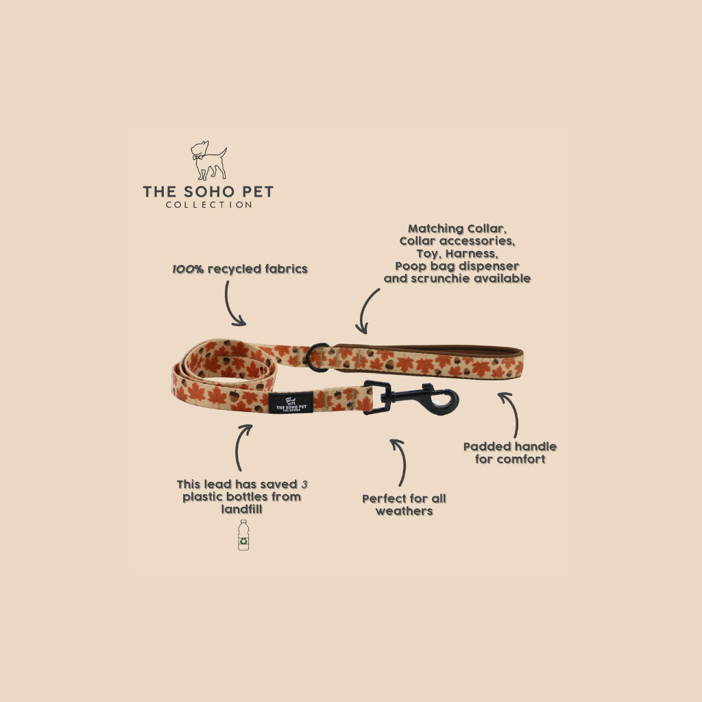 Ancol Soho Maple Leaf Lead