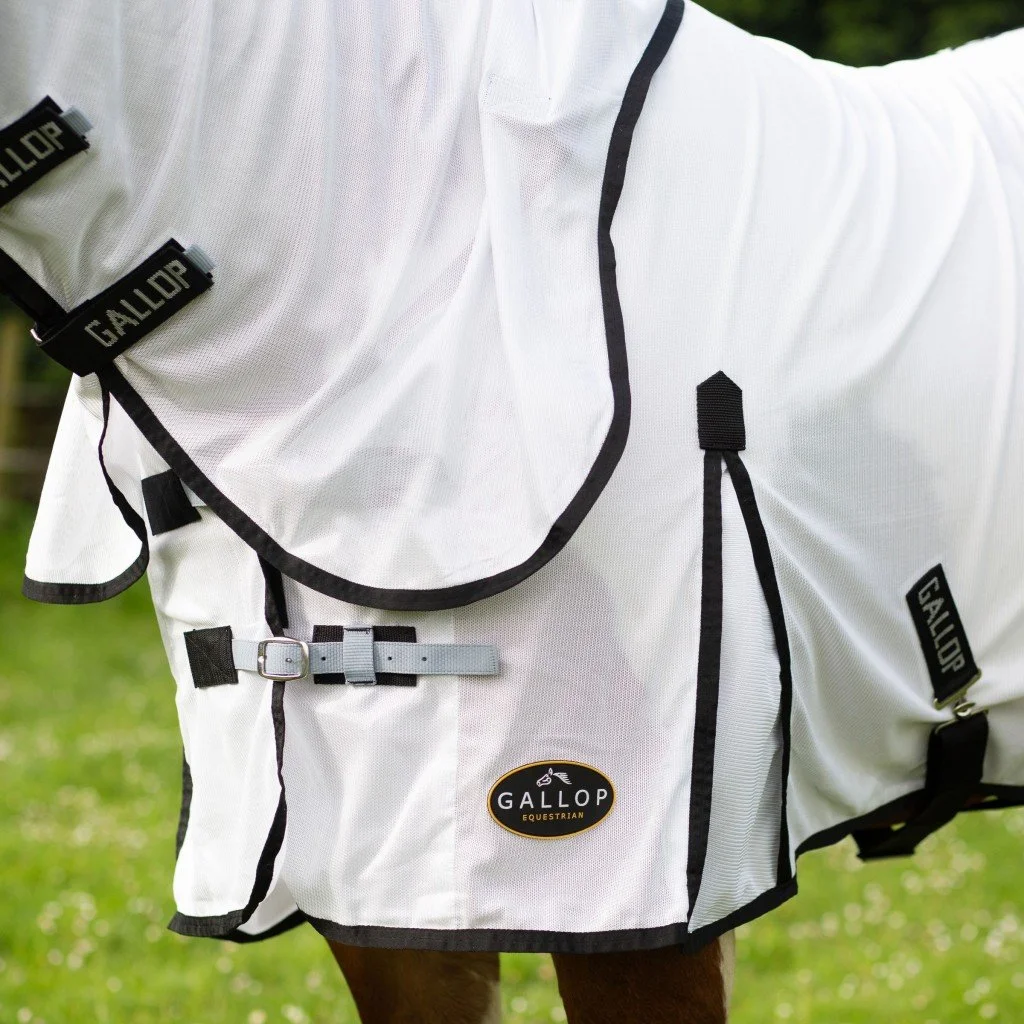 fly rug 5.jpg