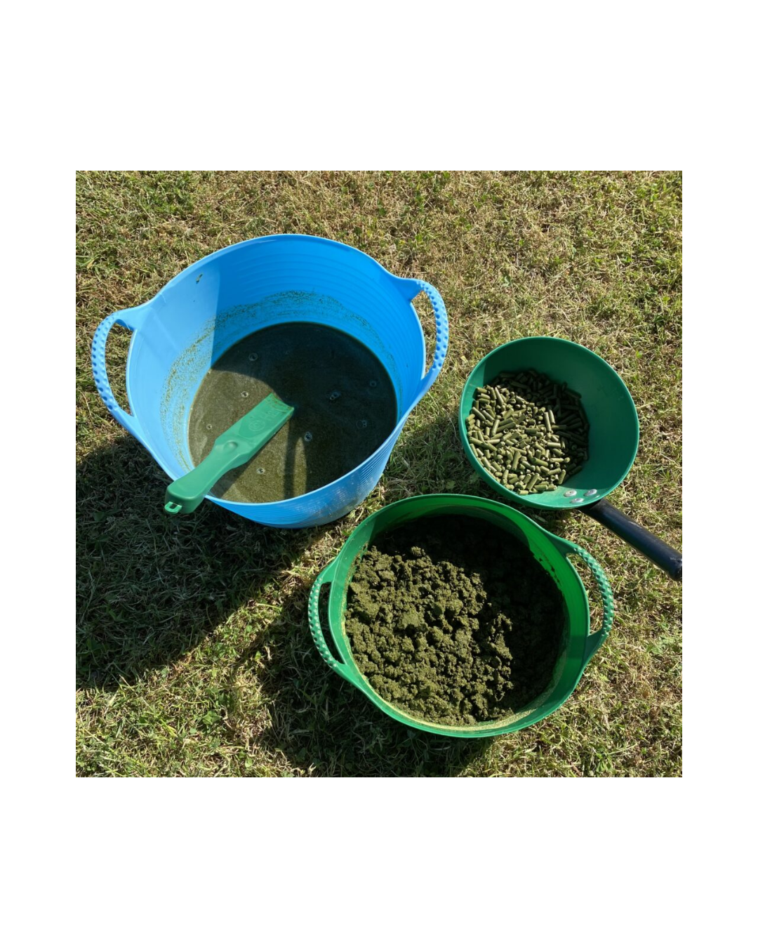 Untitled design - 2026-01-15T065116.859.png