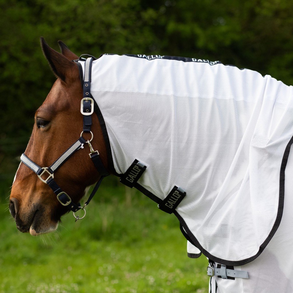 fly rug 4.jpg