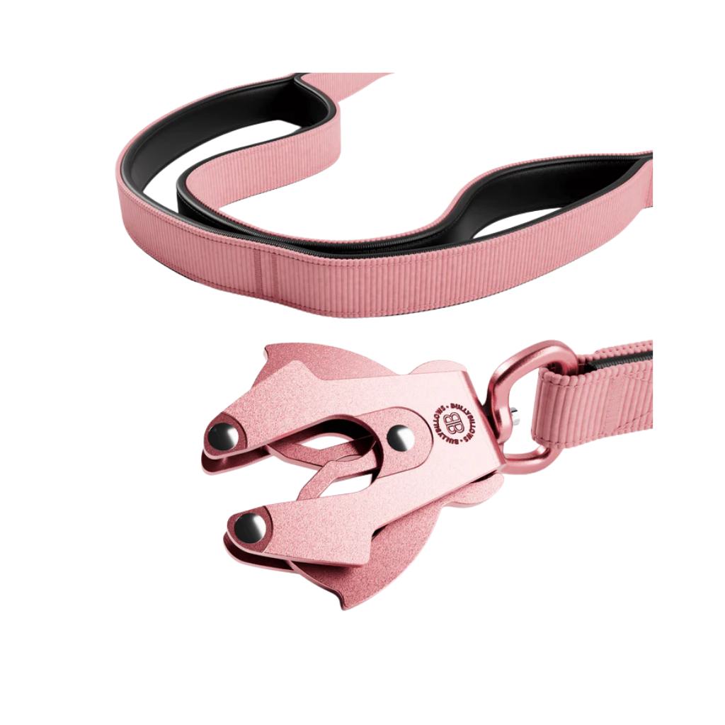 upload - 2026-04-04T152815.508.png