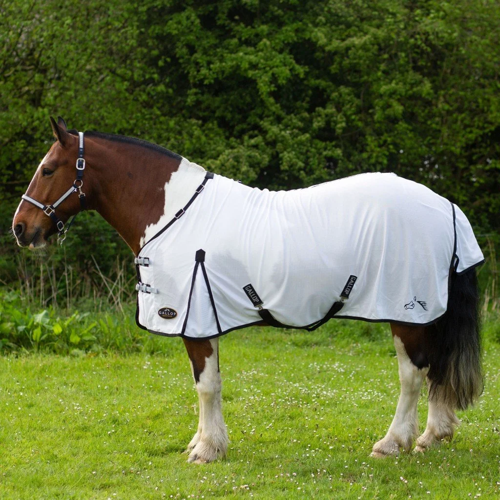 fly rug 2.jpg