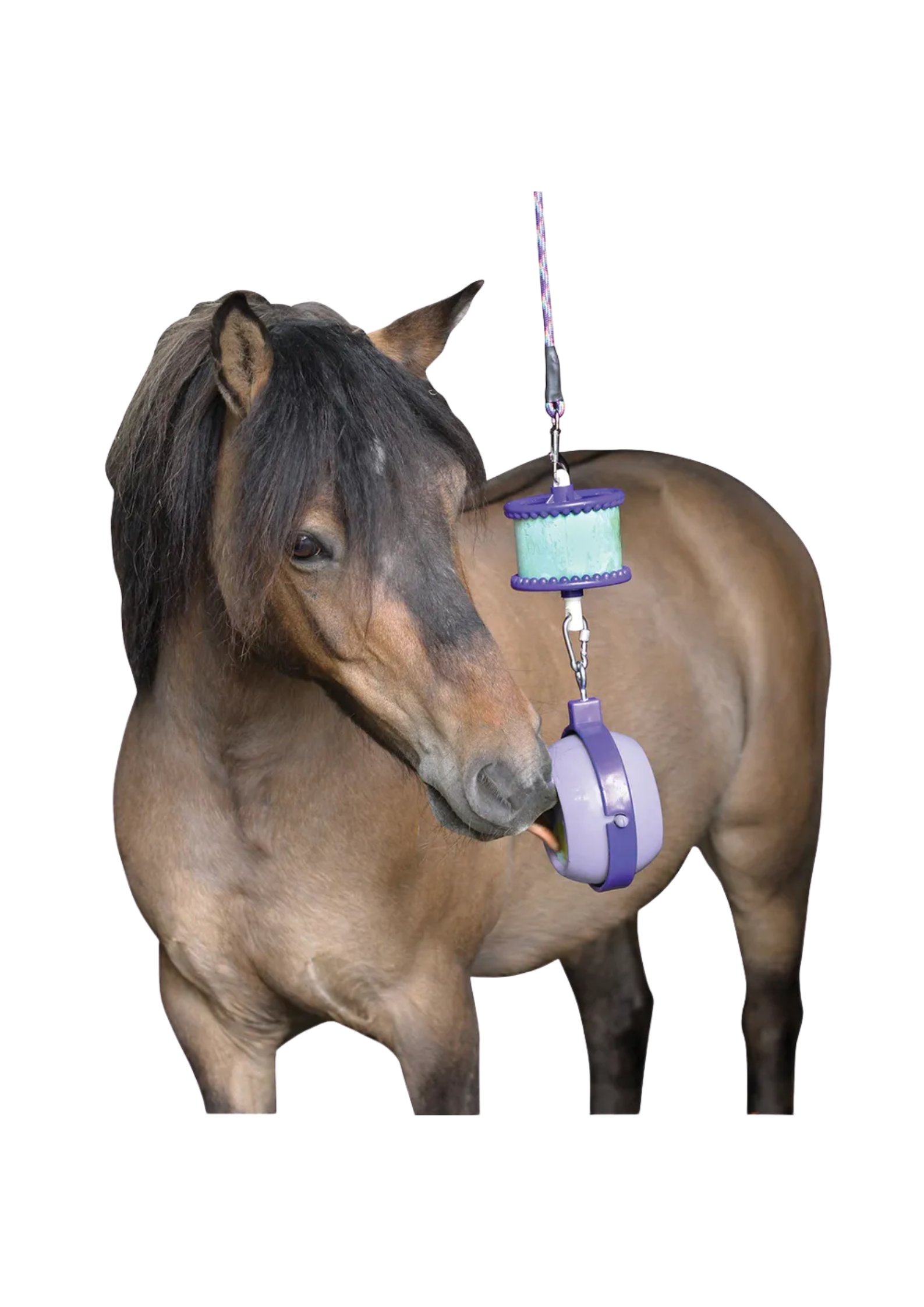 DO NOT FEED DRY (18).png