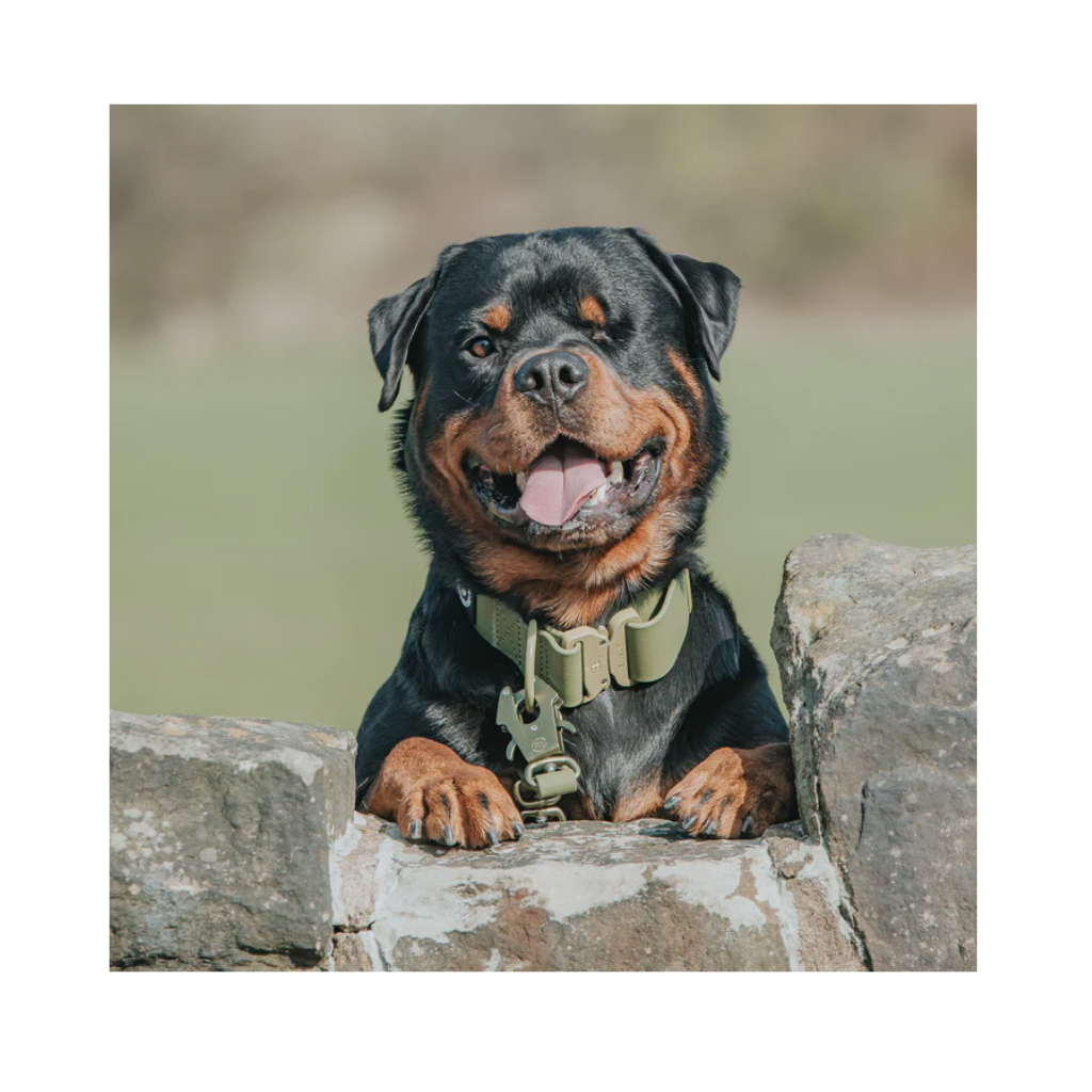 upload - 2026-04-04T161539.757.png