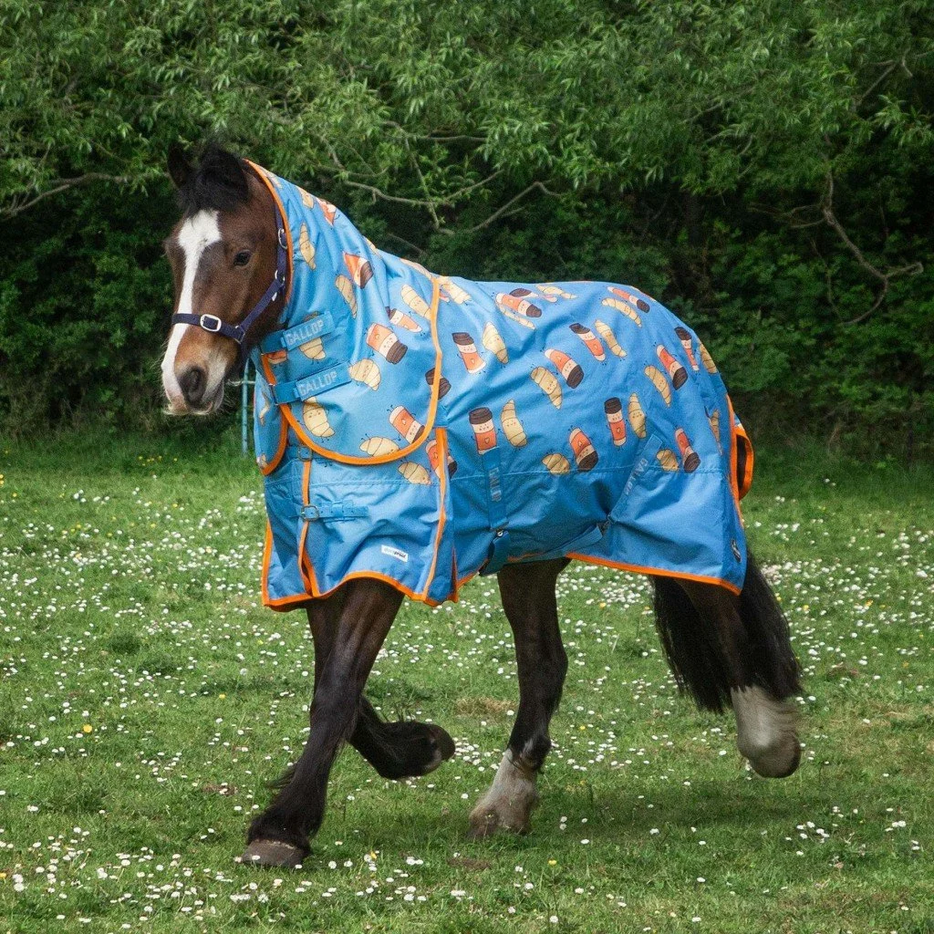 Gallop Trojan Duraproof Dual 100g Turnout Rug Set