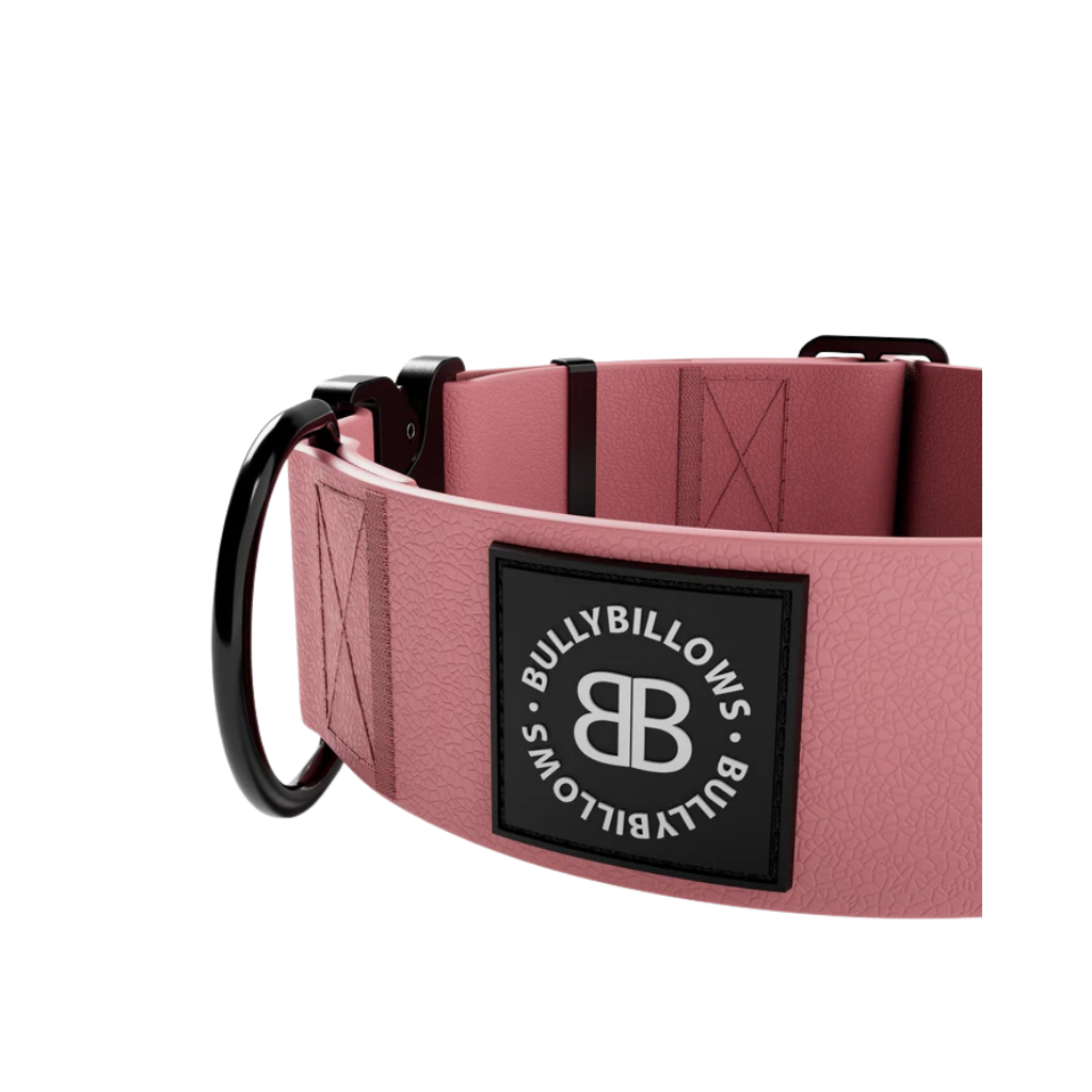 upload - 2026-04-04T160842.576.png