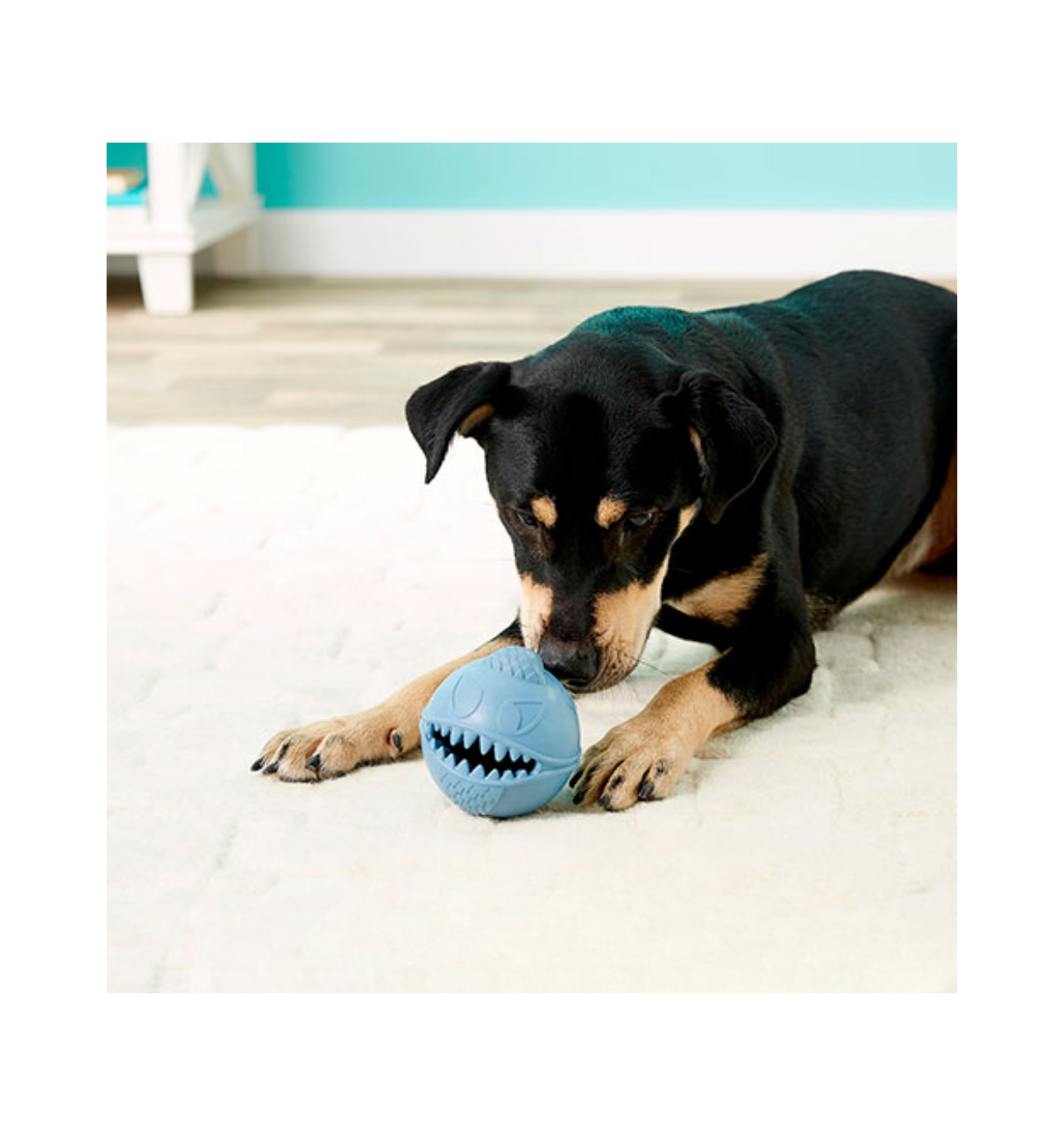 Jolly Pets Monster Ball Dog Toy