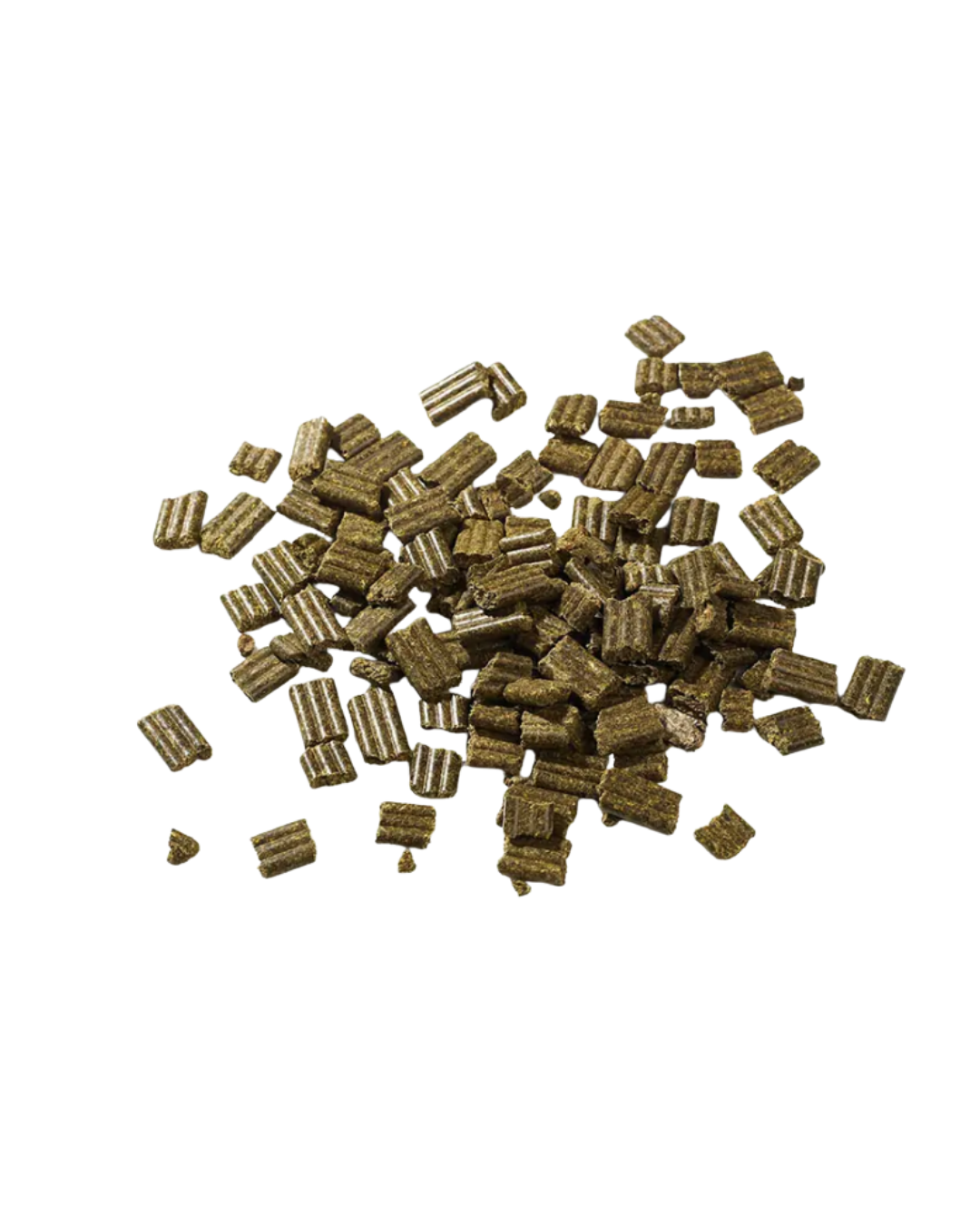 Untitled design - 2026-01-14T224749.032.png