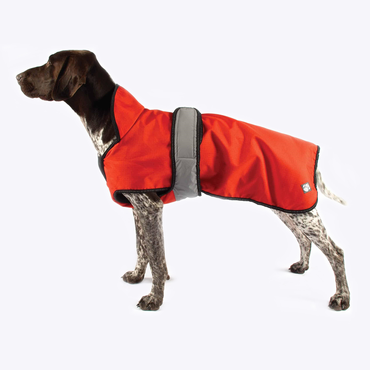 dd dog coat 6.png