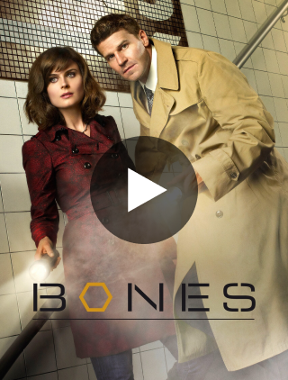 Bones.png