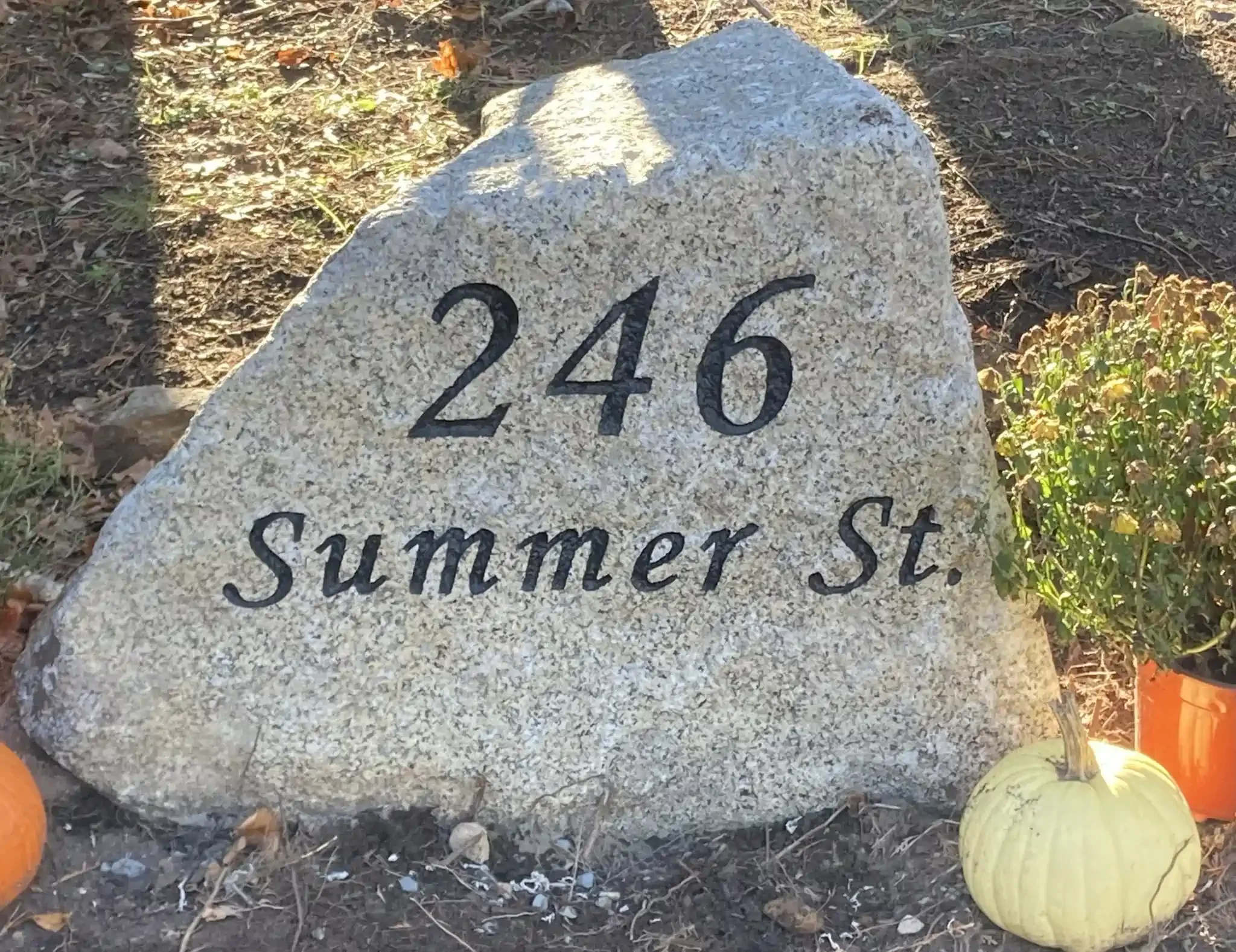 Address boulder with the number 246 painted on it, surrounded by dirt, fallen leaves, and pumpkins.