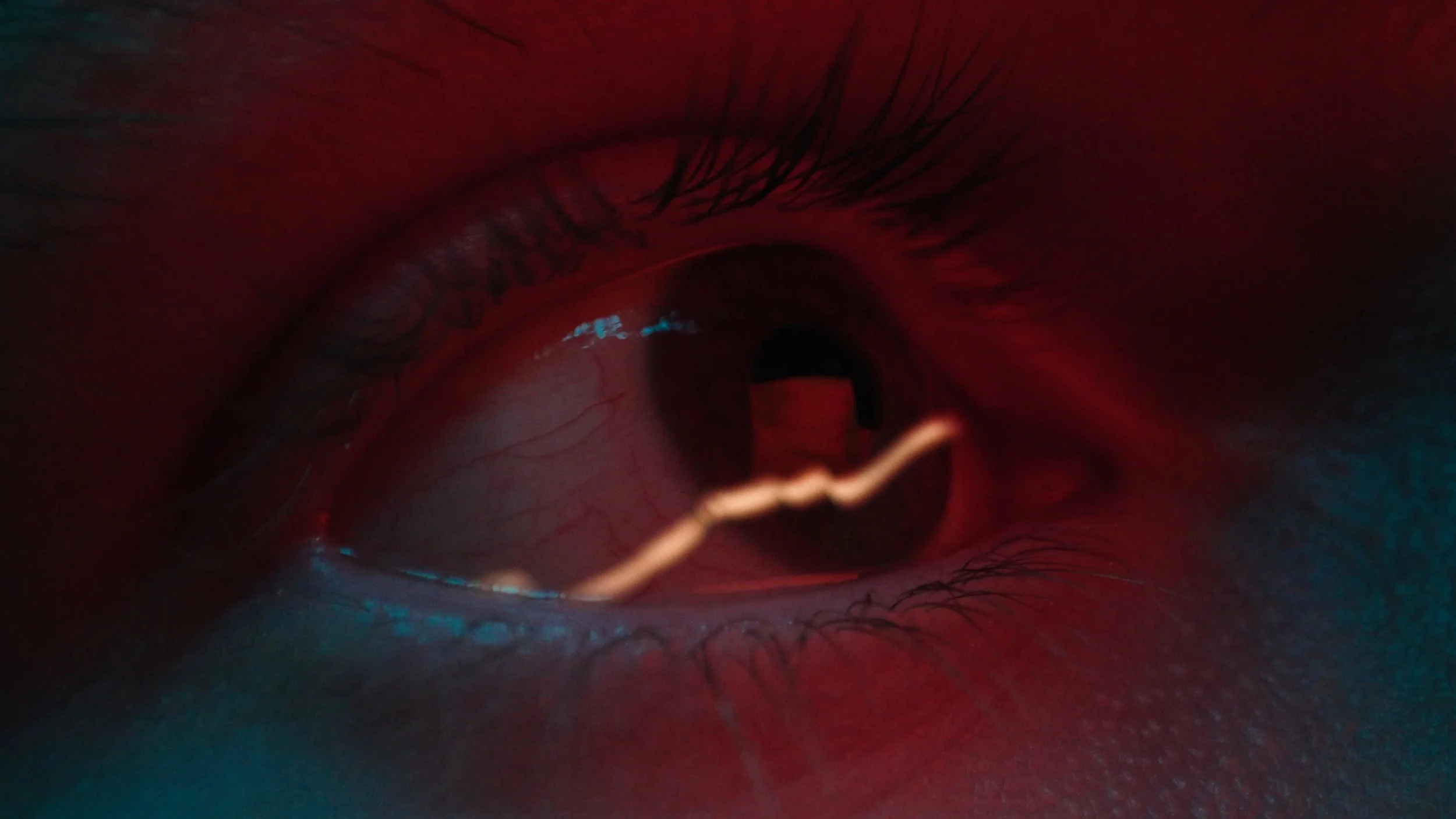 Still 2026-03-20 151139_1.1.8.jpg