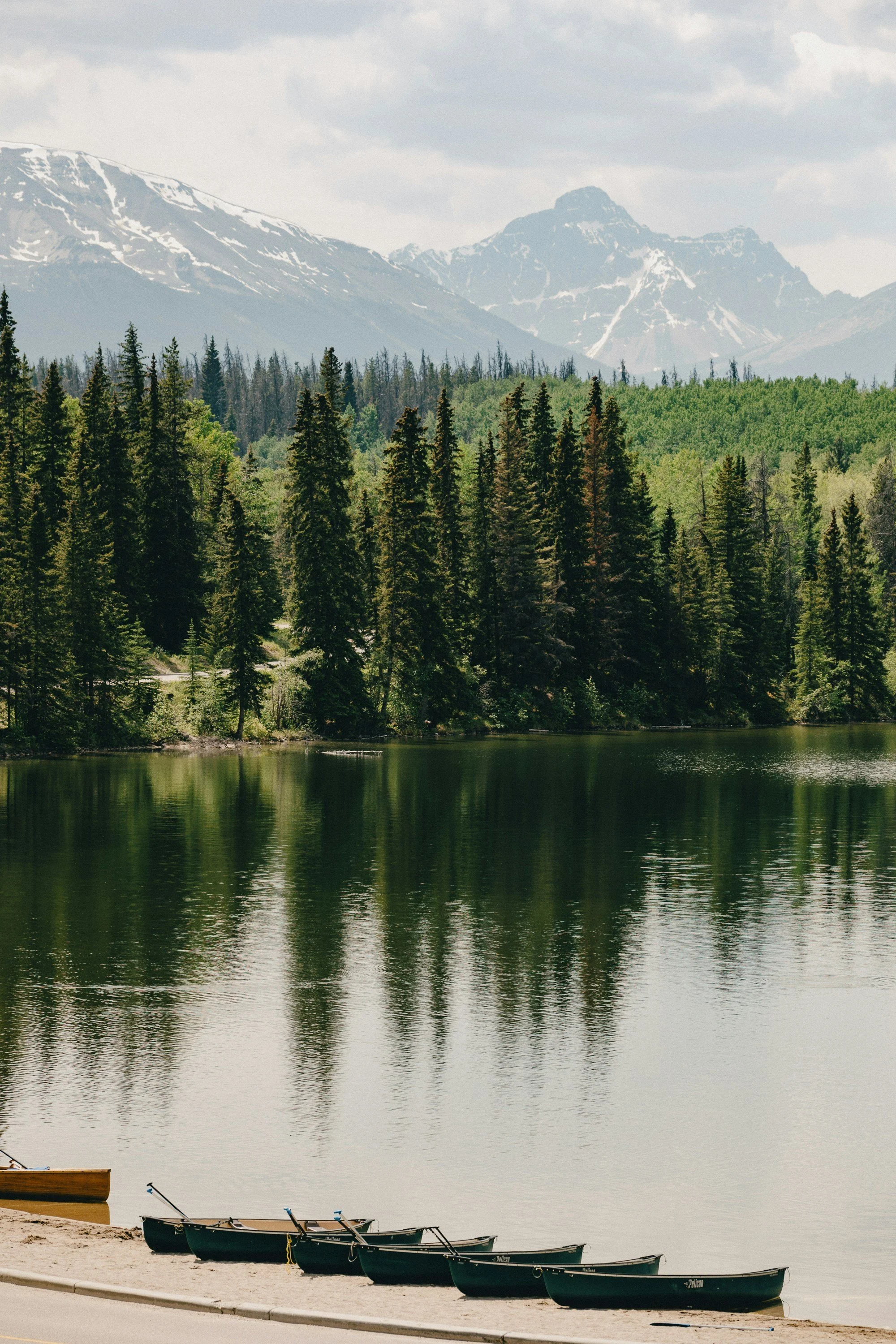 Leading Through Uncertainty