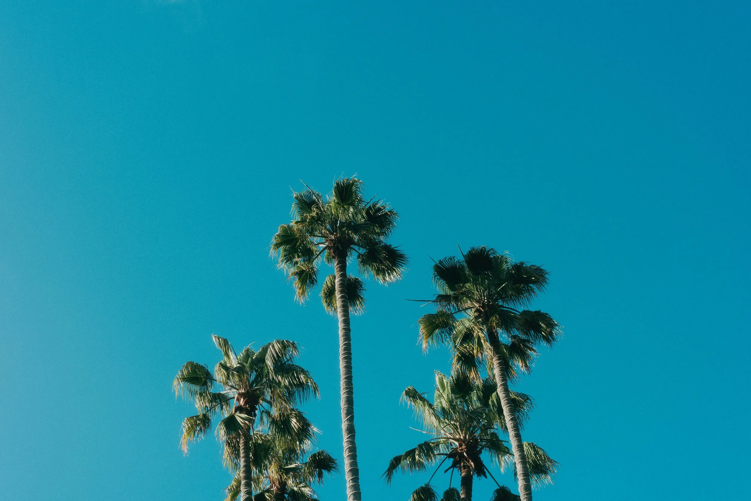 Vision Without Execution Is a Liability